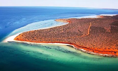 Video: Nhìn ngắm vịnh Cá Mập nổi tiếng ở Australia