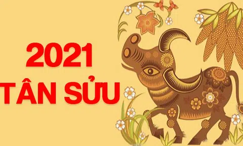 Yêu cầu không tổ chức chúc Tết cấp trên và nghiêm cấm tặng quà lãnh đạo