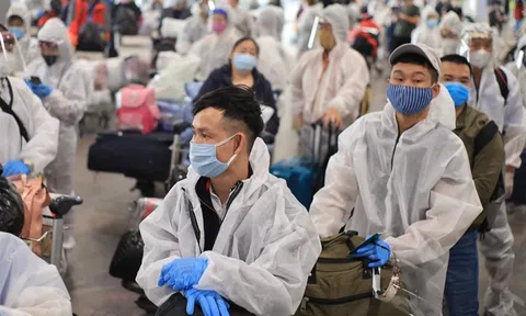 Việt Nam đưa hơn 340 công dân từ Nga về nước