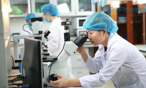 Nhà khoa học nữ chế tạo thành công nano dây thìa canh và nano lá sen từ bộ 3 công nghệ 