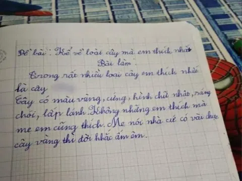 Cô giáo giao đề văn kể về loài cây yêu thích, bé tiểu học viết một cái tên mà nhà nào cũng muốn sở hữu