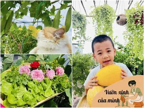 Mẹ đảm phủ xanh tổ ấm giữa Sài Gòn, vừa trồng rau trồng hoa trên sân thượng vừa nuôi gà