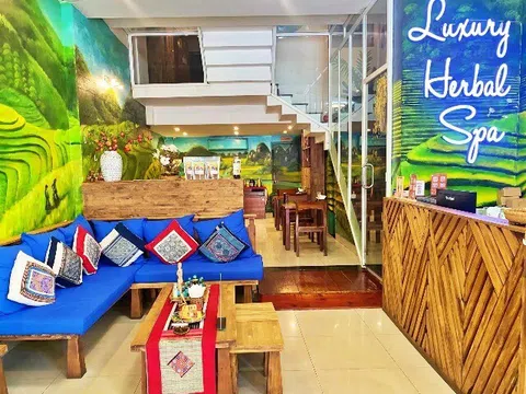 Đa trải nghiệm dịch vụ spa trị liệu chuyên nghiệp tại Herbal Spa