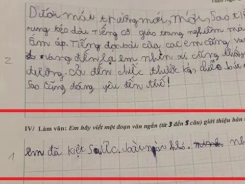 Cô giáo ra đề làm văn giới thiệu bản thân, bé tiểu học viết 4 từ khiến giáo viên câm nín