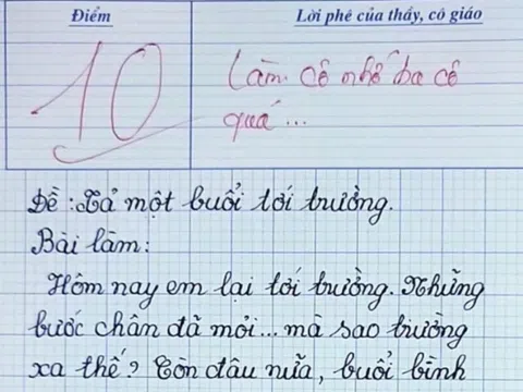 Bé tiểu học nhận điểm 10 bài văn tả cảnh đến trường, cô giáo mắt đỏ hoe ngay khi đọc những dòng viết đầu tiên