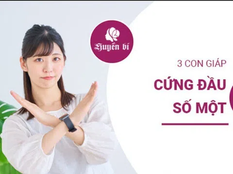 Top 3 con giáp "cứng đầu" nhất: lời khuyên như nước đổ lá khoai