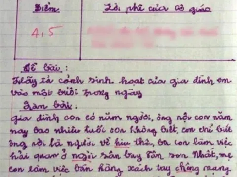 Viết văn tả cảnh sinh hoạt của gia đình, bé tiểu học nhận 4,5 điểm, ai đọc cũng lắc đầu khó hiểu