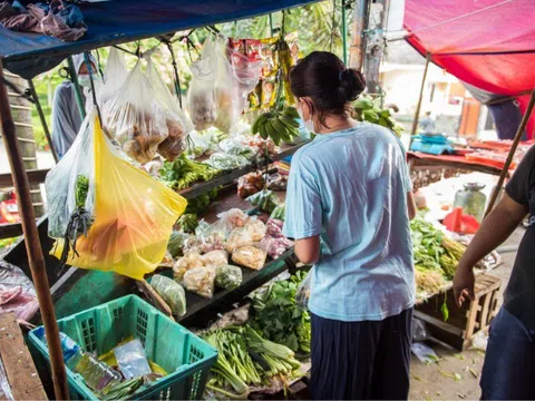 Loại rau ở Việt Nam được thế giới ca ngợi, xưa vốn cho lợn ăn giờ thành “thần dược” cho trẻ, giá chỉ 18.000 đồng/kg