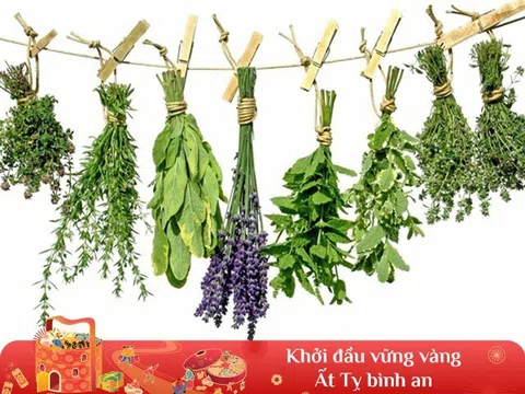 Đầu năm mới cần chuẩn bị thảo dược nào để xông nhà, vừa tốt cho sức khỏe lại giúp may mắn cả năm?