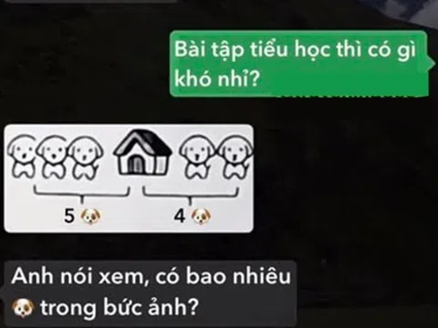 Bài toán tiểu học "Có bao nhiêu con chó trong bức ảnh?", bố trả lời 5 con khiến mẹ “chán hẳn”