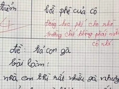 Bài văn tả gà của học sinh lớp 3 khiến cô giáo tức giận ngay câu thứ 2, cho điểm kém kèm nhận xét cực gắt