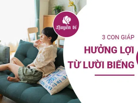 3 con giáp "lười" nhưng cuộc sống lại vô cùng thuận lợi