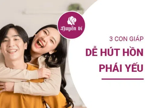 Điểm danh 3 con giáp nam "đốn tim" chị em ngay từ lần gặp đầu tiên