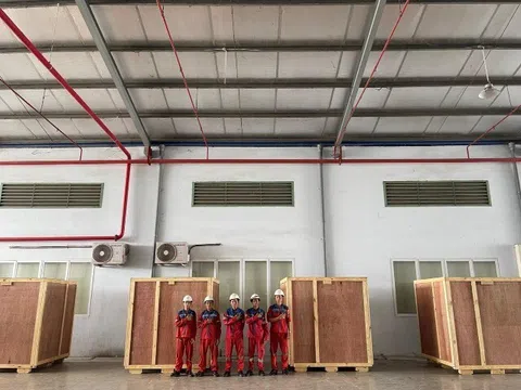 Tiết kiệm chi phí với dịch vụ đóng thùng gỗ xuất khẩu đạt chuẩn ISPM 15 tại Kiến Đỏ