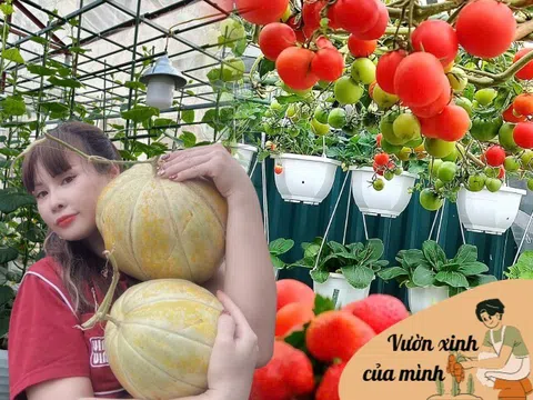 Mẹ đảm Hà Nội từng bị trêu chỉ trồng rau được "dăm bữa nửa tháng", giờ có hẳn 2 khu vườn xanh mướt trên sân thượng