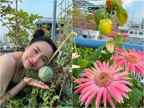 "Bà trùm nông sản" hot mạng xã hội khoe khu vườn sân thượng đủ hoa trái khiến ai cũng phát thèm