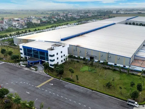 “Beluga - Hè xanh mát, Nước trong lành”: Tân A Đại Thành cùng bạn bảo vệ nguồn nước gia đình