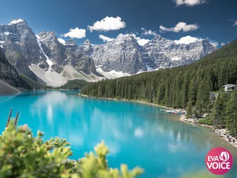 Banff - Cuộc phiêu lưu giữa rừng thông và động vật hoang dã