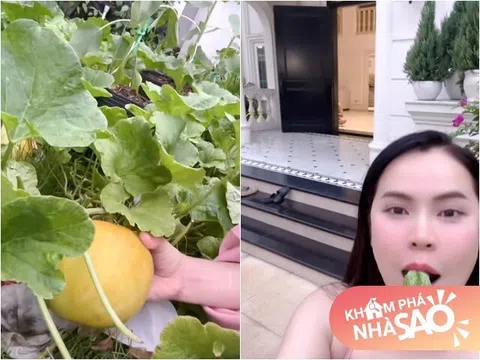Vợ Hoa hậu của NSƯT Vũ Luân khoe vườn rau "ê hề" trong biệt thự 200 tỷ, ăn dưa ngay tại vườn