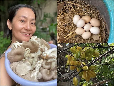 Nữ NSƯT khoe khu vườn nhỏ giản dị mà nhiều cây trái, rổ trứng gà đầy ắp nhưng dân mạng lại thắc mắc