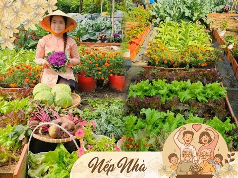 9X bỏ việc kế toán về trồng rau, tạo nên khu vườn 500m2 xanh mướt, đủ loại rau trái giữa lòng TP.HCM