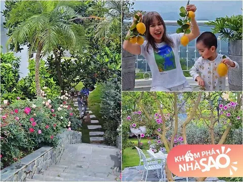 Khu vườn mùa hè ở biệt thự trên núi của vợ chồng diễn viên Mạnh Trường: Hoa giăng lối, cây trĩu quả