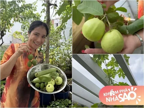 MC Cát Tường tạm biệt ngôi nhà đã ở 8 năm, thu hoạch lần cuối ở khu vườn xanh mướt trước khi dọn đi