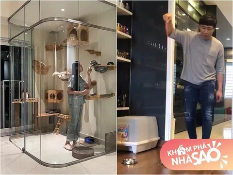 Điểm giống nhau giữa nhà của Trấn Thành - Anh Đức, liên quan đến sở thích của 2 cô vợ xinh đẹp