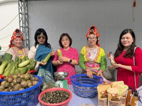 Giao lưu kết nối sinh kế: Động lực thúc đẩy phát triển kinh tế cho phụ nữ dân tộc thiểu số tại Điện Biên