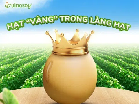 Vì sao đậu nành được xướng danh là hạt “vàng” trong làng hạt?