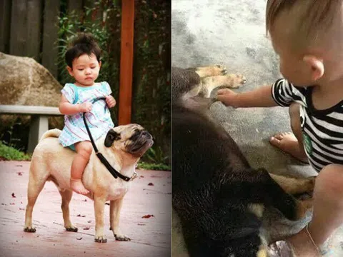 Cười bể bụng với loạt kiếp nạn của "khối trông nhà" khi chăm "khối nghỉ hè"
