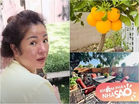 Thúy Nga móc rác, lao động vất vả để chuẩn bị dọn về nhà vườn hàng chục tỷ: Cảnh phía sau đẹp nên thơ