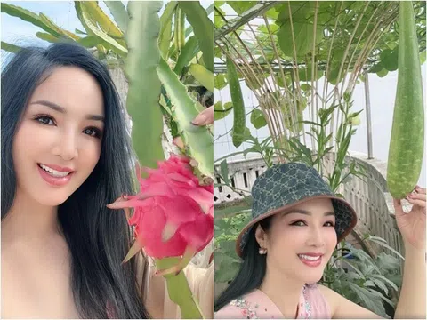 "Hoa hậu độc nhất vô nhị Việt Nam" mát tay trồng quả ngọt trên sân thượng "lâu đài trắng" 1.000m2