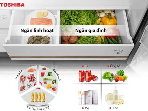 Tủ lạnh chuẩn Nhật Toshiba NaturePURE 711L chăm sóc gia đình Việt