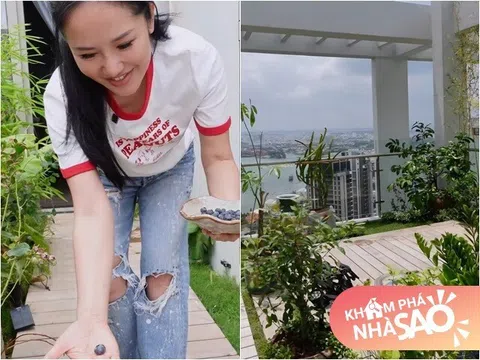 Khu vườn trên cao ở penthouse mới giúp Hồng Nhung "chữa lành" sau biến cố, Diva khoái chí thu hoạch "ngọc xanh"