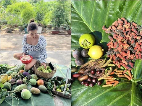 "Mỹ nhân ngư" của showbiz Việt sở hữu khu vườn 10.000m2: Giờ chẳng màng hư danh, chỉ thích ngồi nhổ cỏ ươm cây