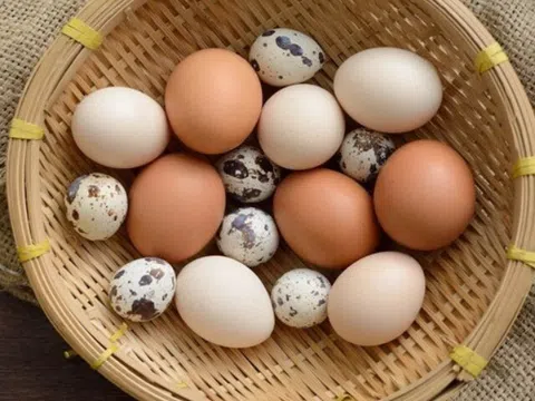 Loại trứng quý như nhân sâm giúp bé thông minh, dinh dưỡng cao gấp 4 lần trứng gà, giá chỉ 500 đồng/quả