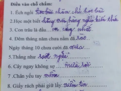 Bài tập tiếng Việt gây xôn xao cõi mạng vì loạt đáp án "có một không hai" của học sinh tiểu học