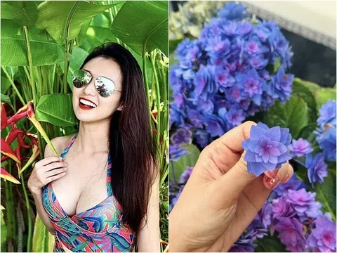 Loài hoa đặc biệt làm "sao nữ giàu nhất miền Bắc" mê mẩn, trồng khắp biệt thự hàng chục tỷ