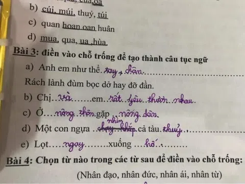 Bài tập tiếng Việt về loạt thành ngữ, tục ngữ của học sinh tiểu học gây bão, đáp án sai nhưng lại rất thuyết phục