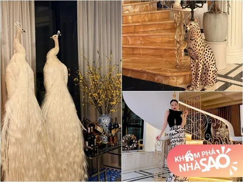 "Lóa mắt" với nội thất xa hoa trong cơ ngơi của Lệ Quyên, nữ ca sĩ phản pháo khi bị cho là khoe giàu