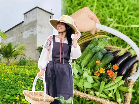 Đôi vợ chồng bỏ phố về quê xây nông trại 3.000m2 trồng rau nuôi yến, chỉ 30 triệu cải tạo đất và kết quả đẹp như tranh