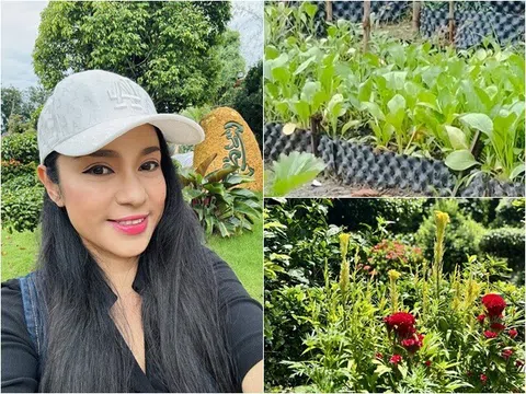 Cuộc sống "thôn quê" của Việt Trinh ở nhà vườn 3.000m2: Có vườn rau xanh thích mắt, ai nhìn cũng thấy an yên