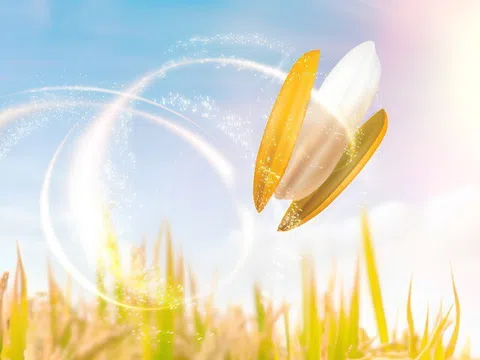 Lợi thế giúp người Việt dễ tiếp cận “món quà” cho tim mạch