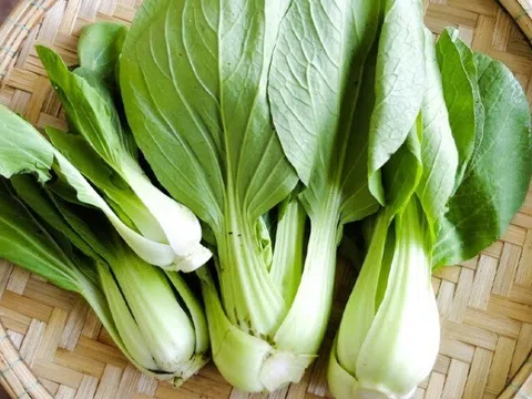 5 loại rau bổ não mà trẻ thông minh hay ăn, được bán đầy ở chợ Việt chỉ vài nghìn đồng một bó