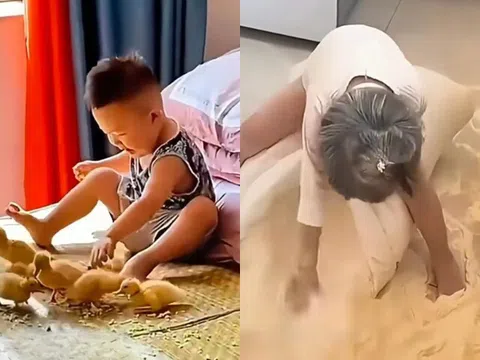 Cười chảy nước mắt với loạt kiếp nạn của "khối nghỉ hưu" khi đón "khối nghỉ hè" về quê nghỉ Lễ