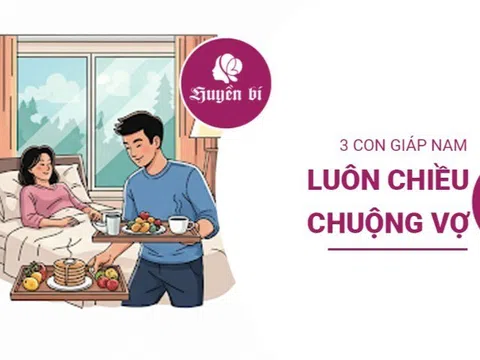 Điểm mặt 3 con giáp nam có "số" trở thành người chồng quốc dân
