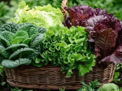 Rau sống người Việt thích mê nhưng dễ là “ổ chứa ký sinh trùng”, ăn thế nào mới an toàn, tốt cho sức khỏe?