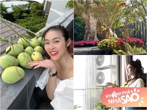 19 tuổi lấy chồng rồi làm mẹ đơn thân, nay Diệp Bảo Ngọc sống trong ngôi nhà đầy hoa, Kim Tuyến ở nơi tối giản