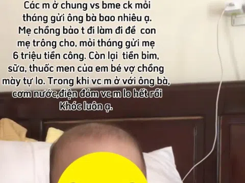 Mẹ chồng ở chung, đòi trả lương 6 triệu/tháng công chăm cháu khiến cộng đồng mạng tranh cãi